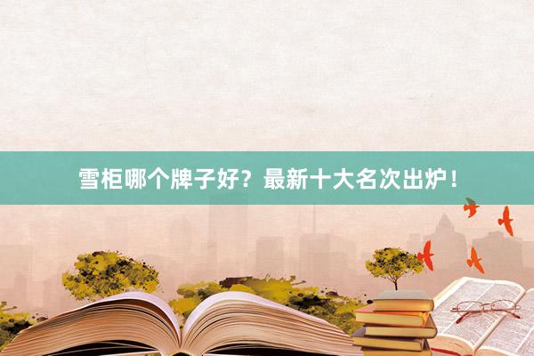 雪柜哪个牌子好？最新十大名次出炉！