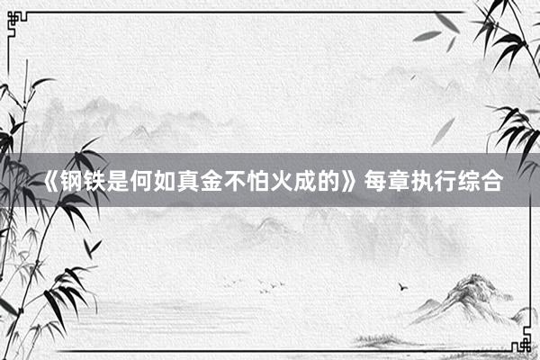 《钢铁是何如真金不怕火成的》每章执行综合