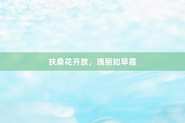扶桑花开放，瑰丽如早霞